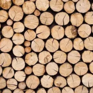Wood base activated carbon