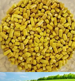 Sodium Isoamyl Xanthate (SIAX)