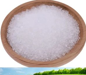 Sodium Saccharin 8-12 Mesh Size