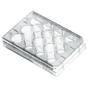 Multi Well Plates